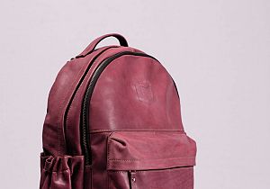 Kettingtassen veroveren Hoeksche Waard