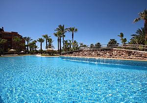 Waarom we zo graag de zon opzoeken